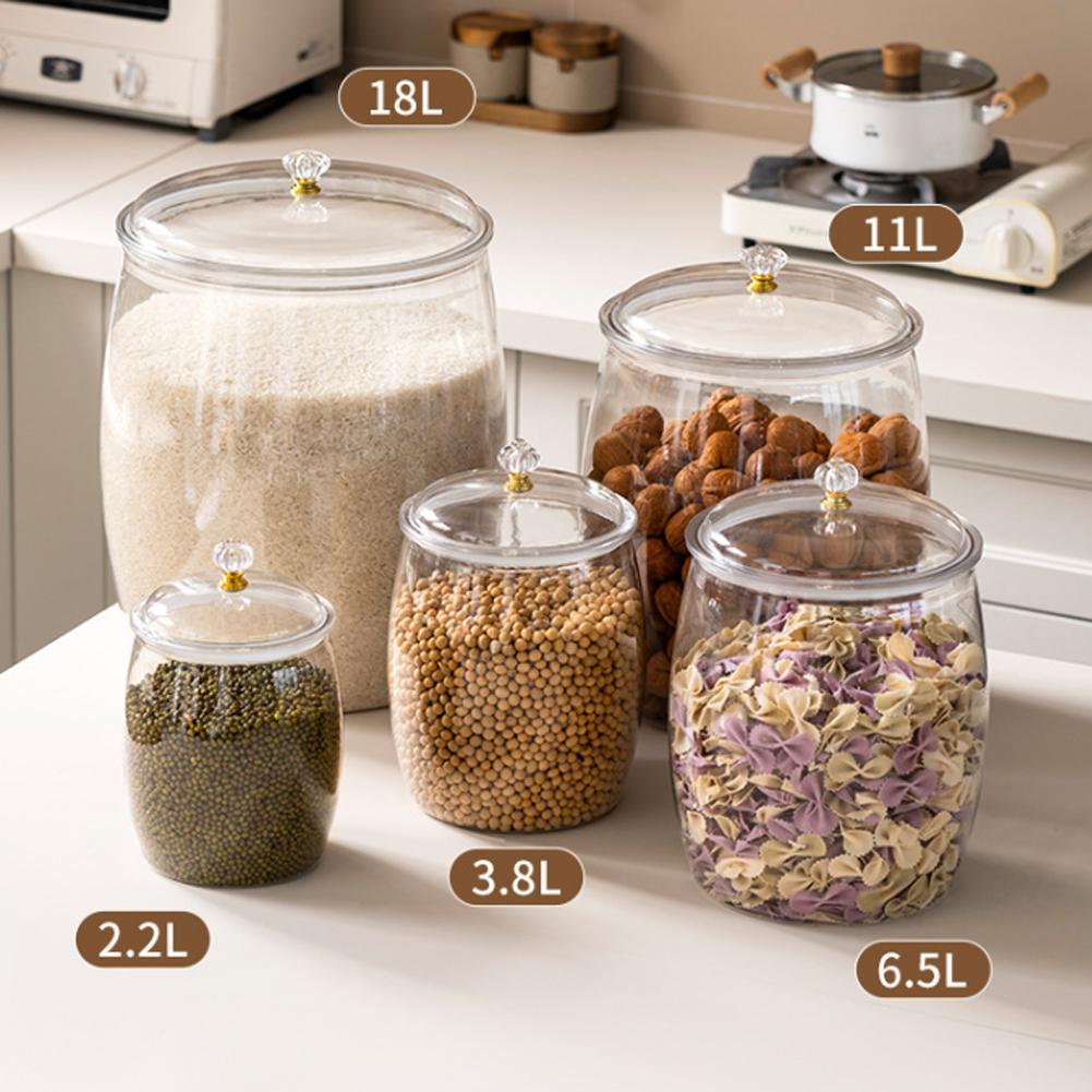 โหลพลาสติกใสขนาดใหญ่พร้อมฝาปิด - Food Storage Containers บทวิจารณ์และราคา