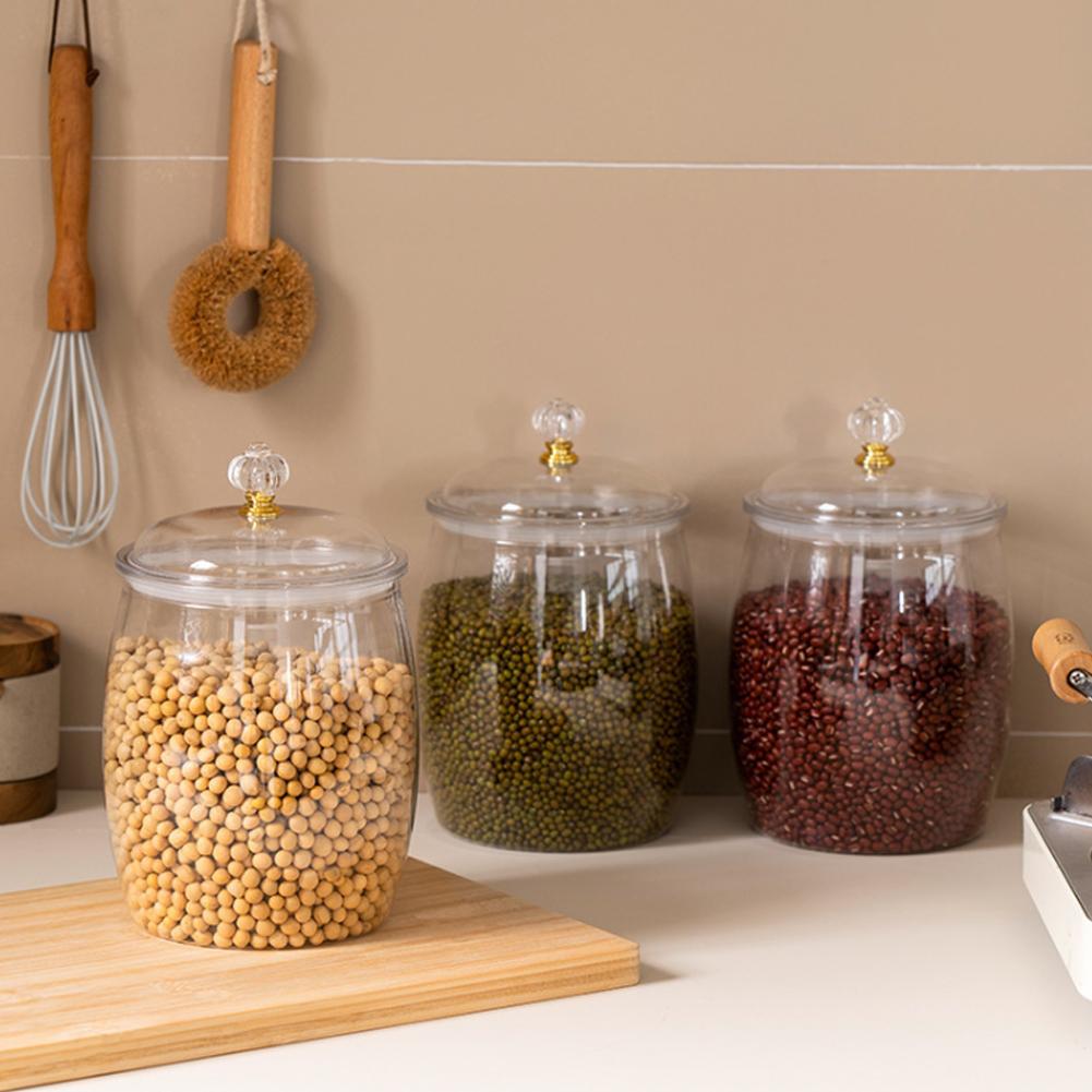 โหลพลาสติกใสขนาดใหญ่พร้อมฝาปิด - Food Storage Containers บทวิจารณ์และราคา
